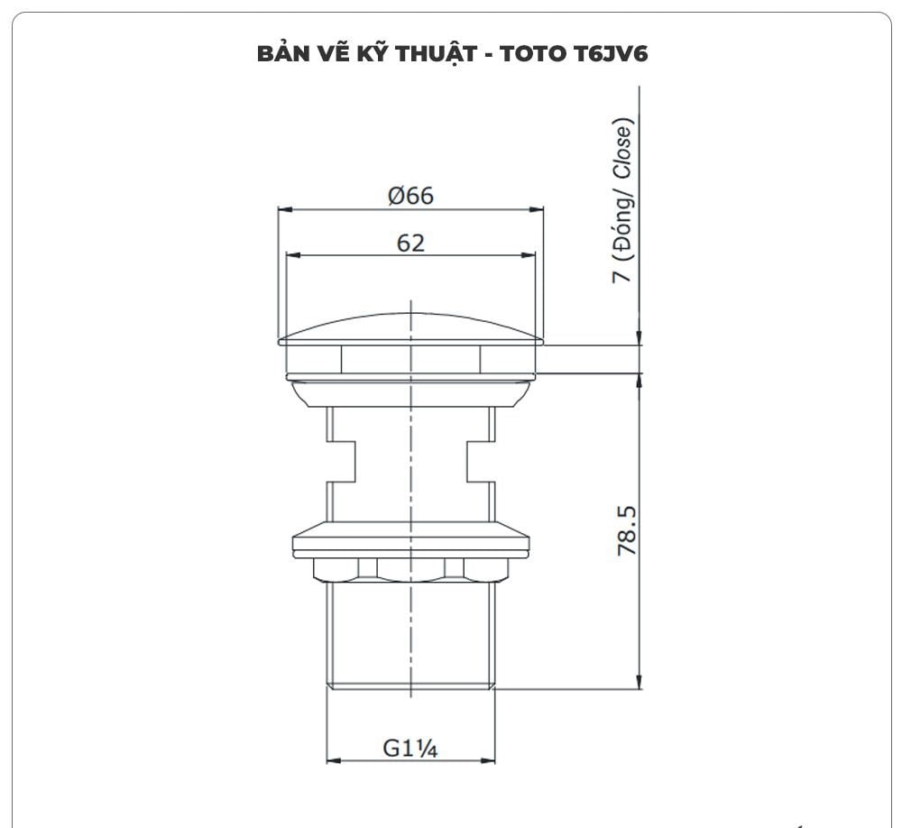 Bộ xả nhấn lavabo TOTO T6JV6
