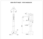 Vòi sen xả bồn tắm TOTO DM334CFS đặt sàn