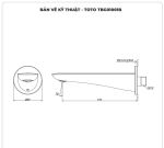 Vòi xả bồn TOTO TBG01001B âm tường