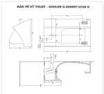 Bồn tiểu nam cảm ứng KOHLER K-20099T-YC05-0