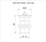 Bộ xả nhấn cho lavabo TOTO T6J1