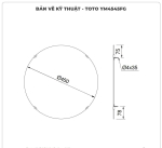 Gương phòng tắm TOTO tráng bạc YM4545FG